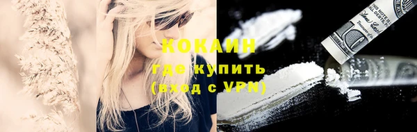 прущие грибы Алзамай