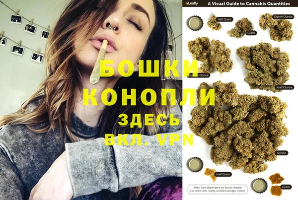 Альфа ПВП Пересвет