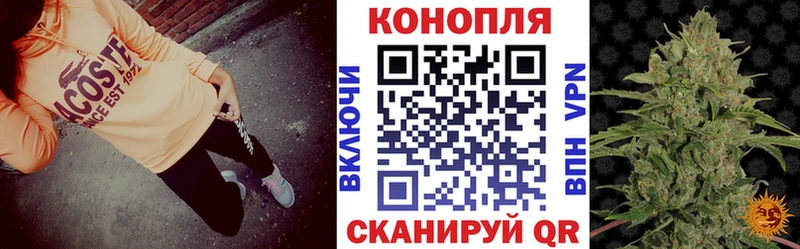 Бошки Шишки Amnesia  нарко площадка наркотические препараты  Почеп 